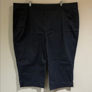 Women’s Terra & Sky Cropped Wide Leg Pants